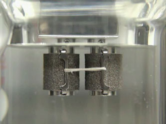 Subclavian Artery at 0.1s-1