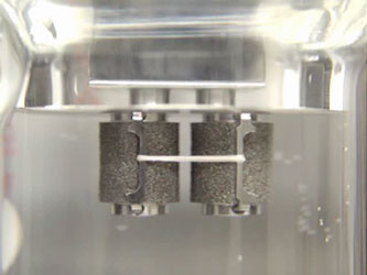 Tunica media at 0.1s-1