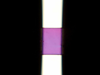 Birefringence Video