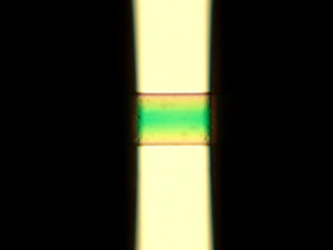 Rheo-optics During Sress Relaxation
