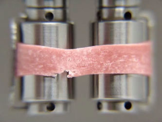 Extensional Rheology of Candy Fruit Chew Video