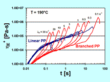 Branched Polymer