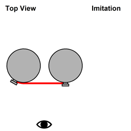 Top View of Imitation Technology