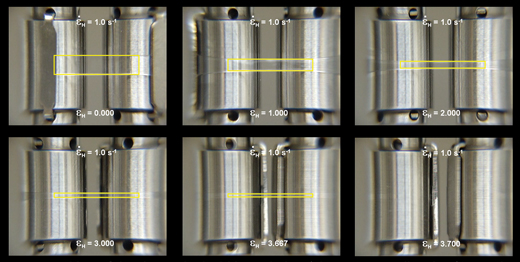 Strain Validation Chart